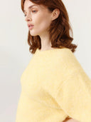 Gebreide trui ferinia trekken