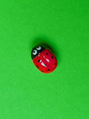 Broche lieveheersbeestje