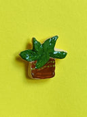Broche plant