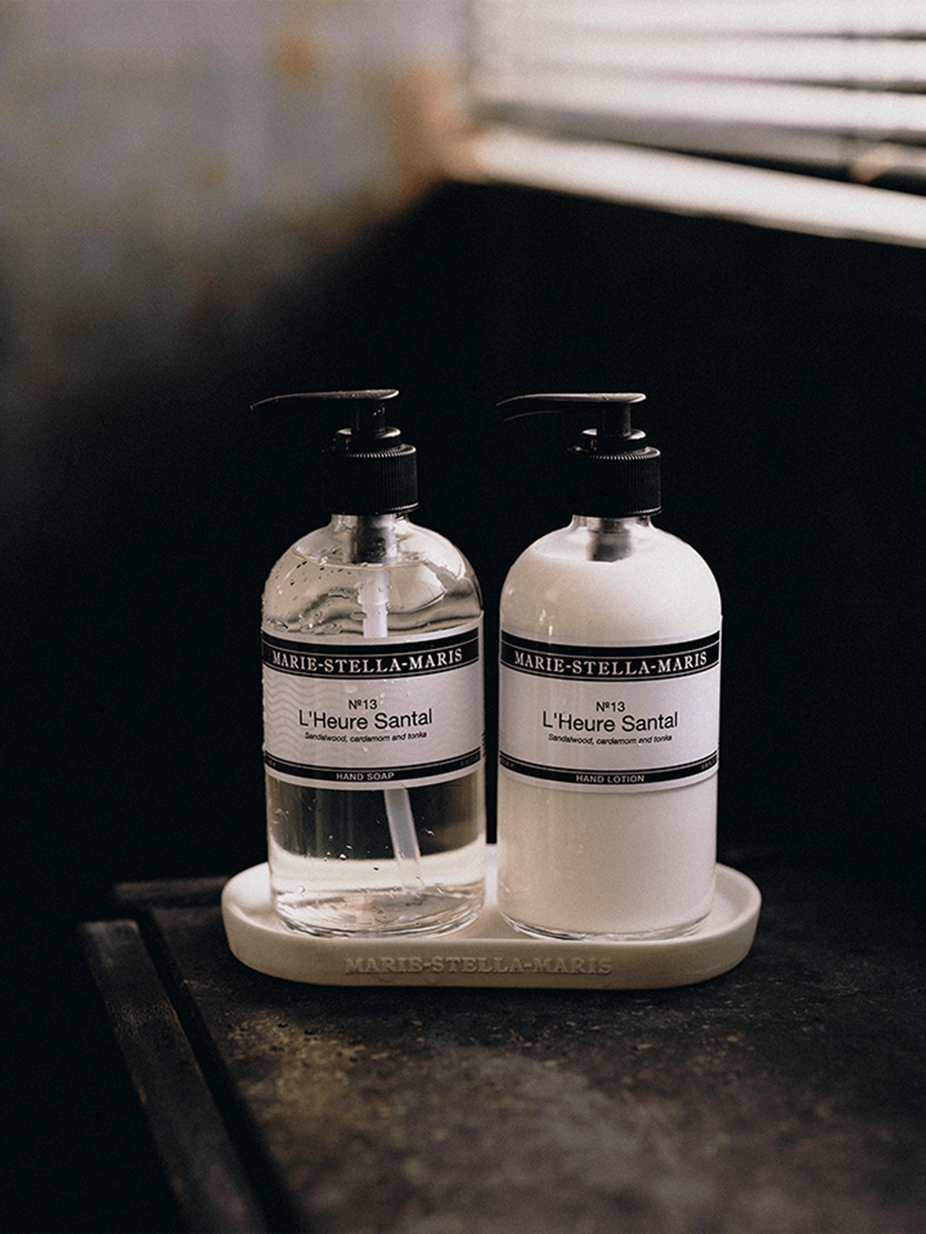 ハオルチオプシス　ウーレイ　GM079 Sandpoort W of Spri… Luxe handset l'heure santal – Tally-Ho