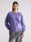 Paarse sweater met relaxed fit fella