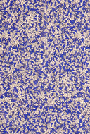 Blauwe sjaal paradis