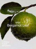 Handzeep bergamot leaf no.05 250 ml