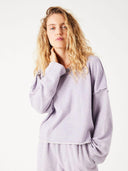 Lila sweater dantown