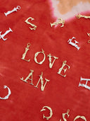 Zilveren hangertje S initial muse necklace charm