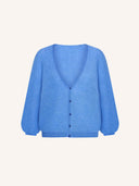 Blauw vest indra