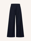 Donkerblauwe pantalon benji pine stripe