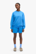 Biologisch katoenen sweater