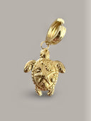 Bedel met schildpad