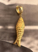 Goudkleurige bedel vis
