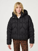 Zwarte pufferjas prisca puffer