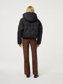 Zwarte pufferjas prisca puffer